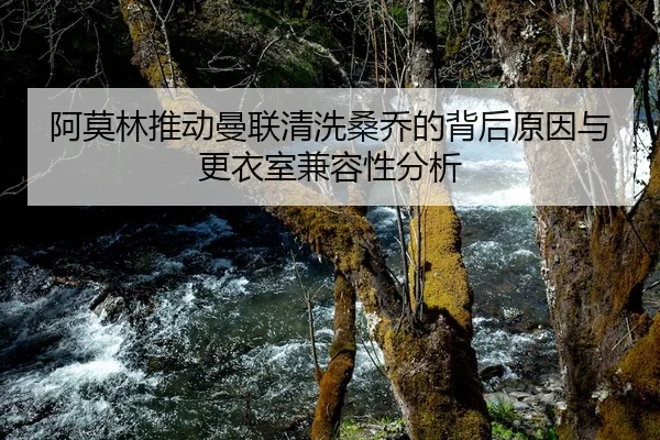 阿莫林推动曼联清洗桑乔的背后原因与更衣室兼容性分析