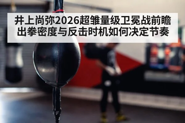boxer training punching bag gym