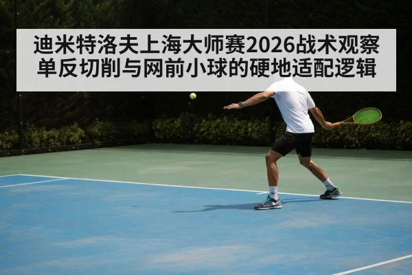 迪米特洛夫上海大师赛2026战术观察 单反切削与网前小球的硬地适配逻辑